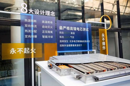 刀片電池,彈匣電池,大禹電池,魔方電池,到底誰最好