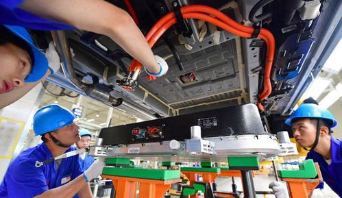 電動(dòng)汽車你選特斯拉還是比亞迪 老司機(jī) 一語道出 電池不一樣