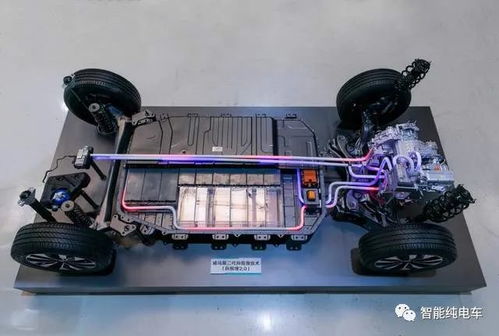 冬天可能是特斯拉 小鵬車主的噩夢,但絕對不會是威馬的